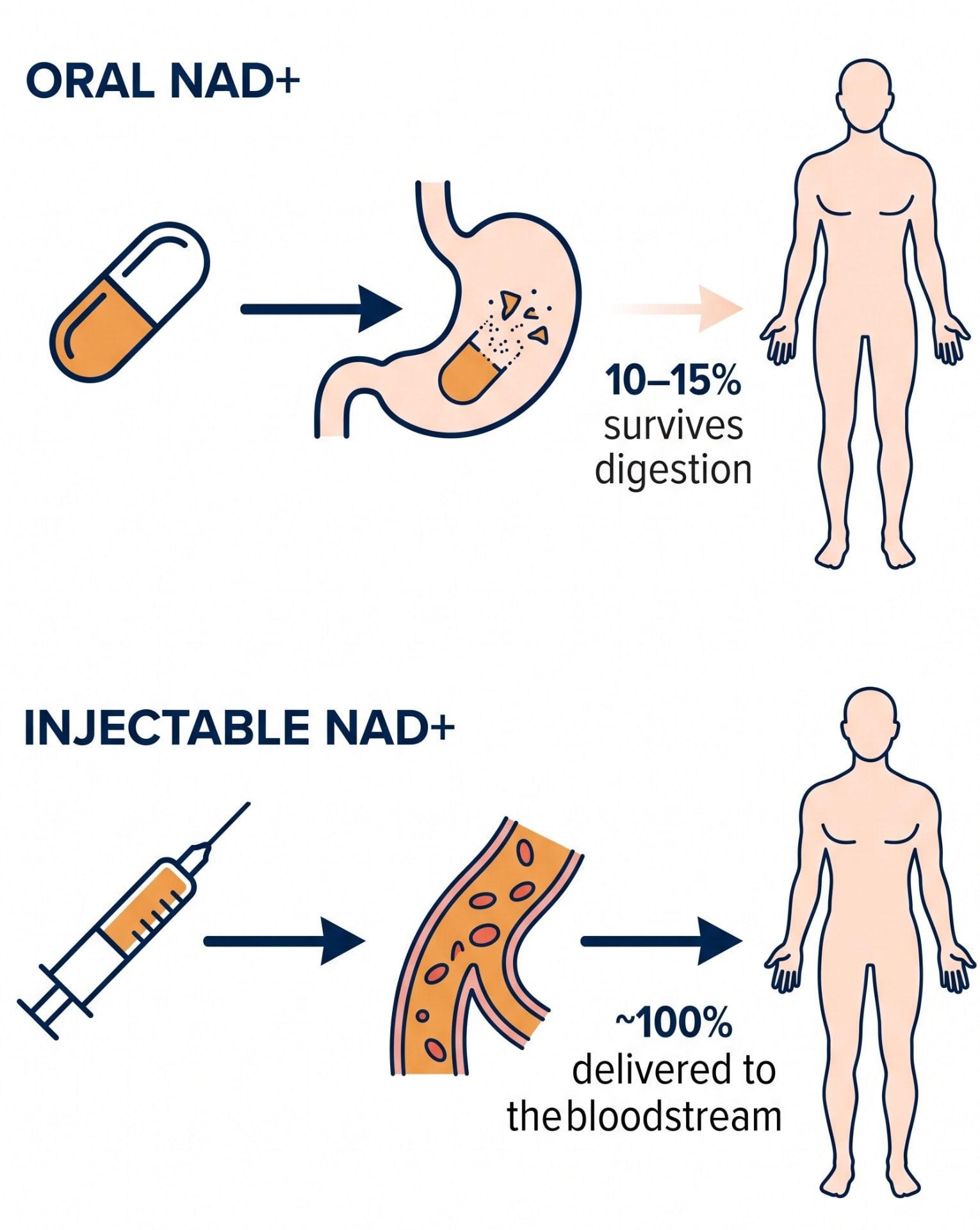 Diagram comparing oral NAD+, where only 10 to 15 percent survives digestion, with injectable NAD+, where roughly 100 percent is delivered to the bloodstream.